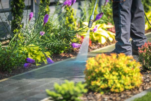 Best Sidewalk and Walkway Cleaning  in Southfield, MI